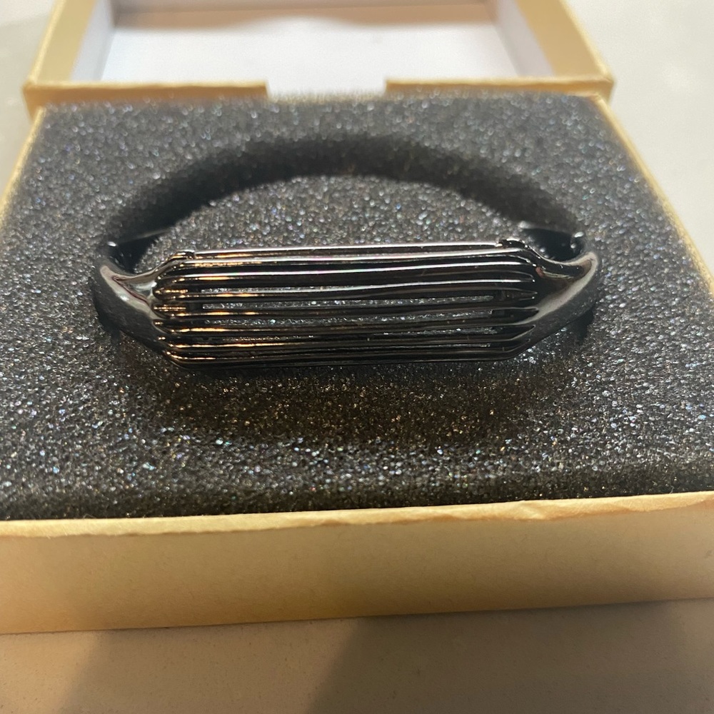 Fitbit Flex 2 Accessory Hinge Bangle